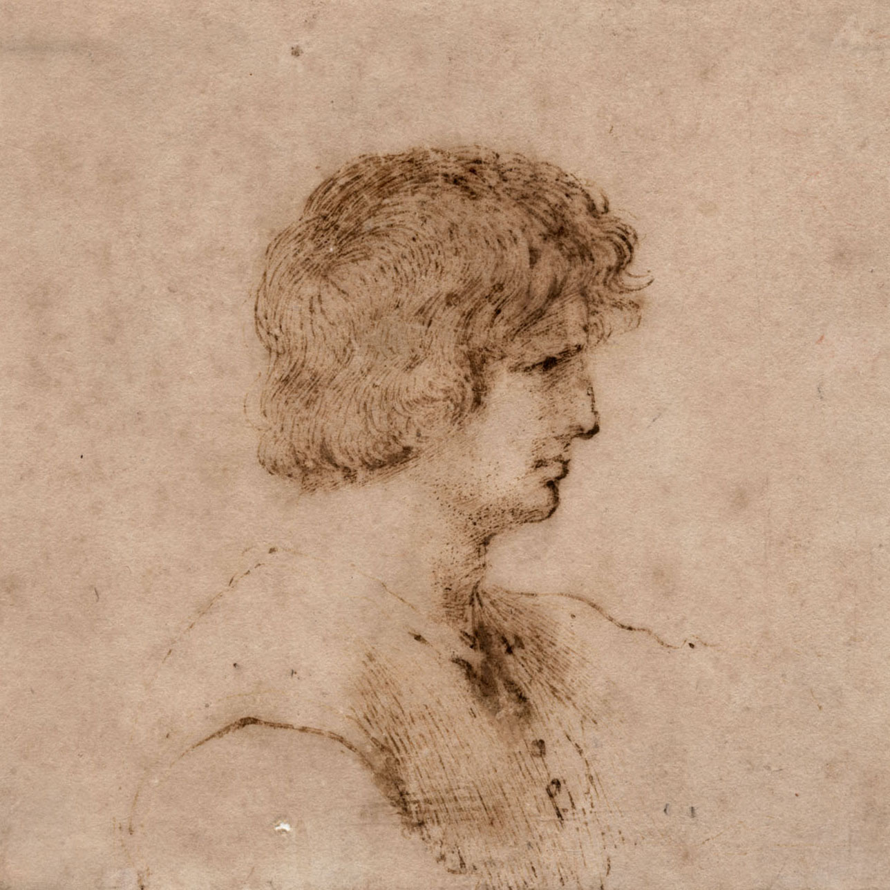 油絵 Giovanni Francesco Barbieri_ 老いた男の顔 ma1536 - 美術品